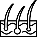 کاشت مو سقز